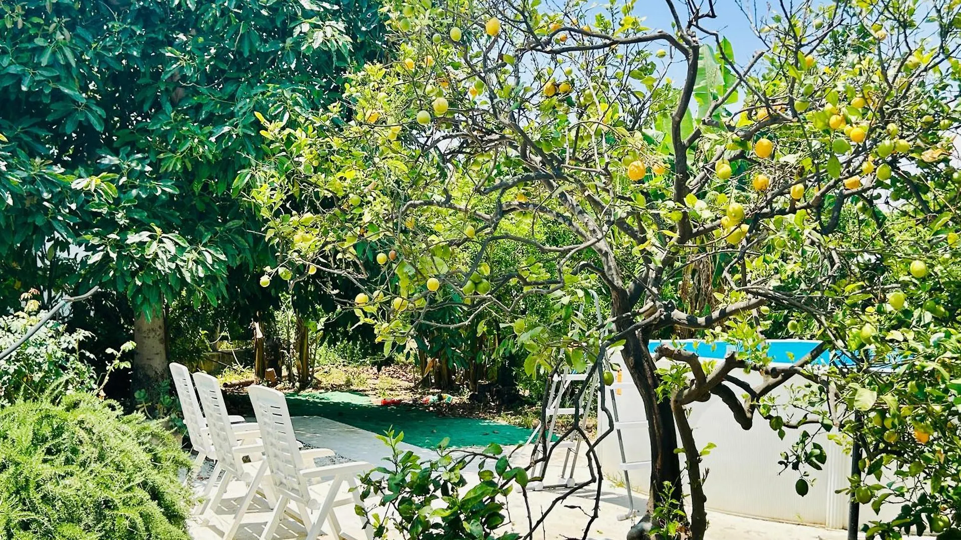 بيت للعطل فيلا The Great Garden With Pool, Parking & Wifi أفولا