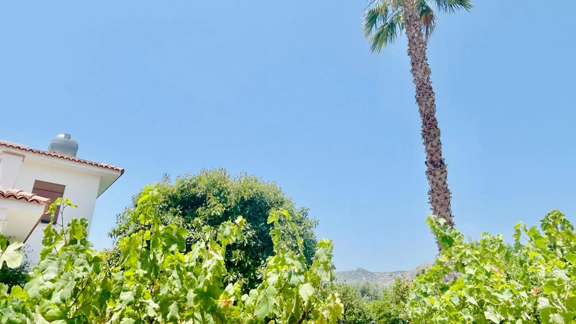 فيلا The Great Garden With Pool, Parking & Wifi أفولا 0*,  إيطاليا